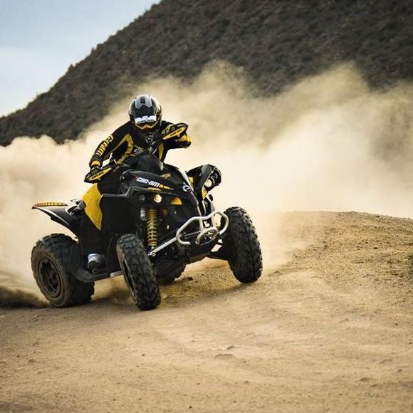 Meet your Posher, Camilo - Picture 1 of 1